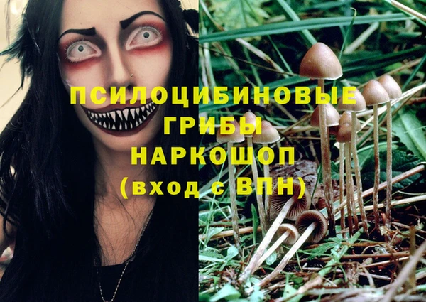 крисы Нязепетровск