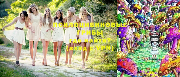 круглые Няндома