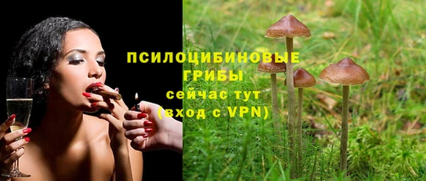 круглые Няндома