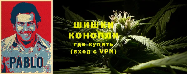прущие грибы Шарыпово