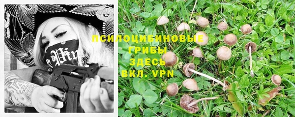 крисы Нязепетровск