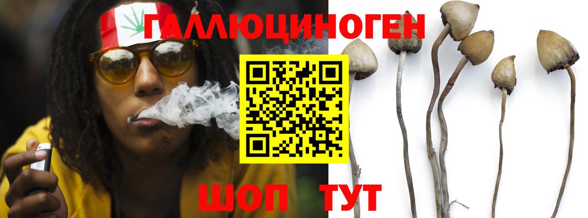 Псилоцибиновые грибы мухоморы Сарапул